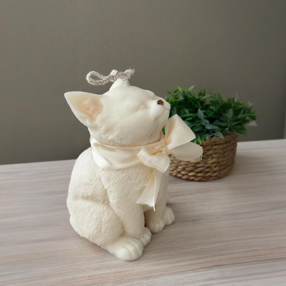 Smile Cat Silicone Mold for DI - Soap Making Gifts recension och pris